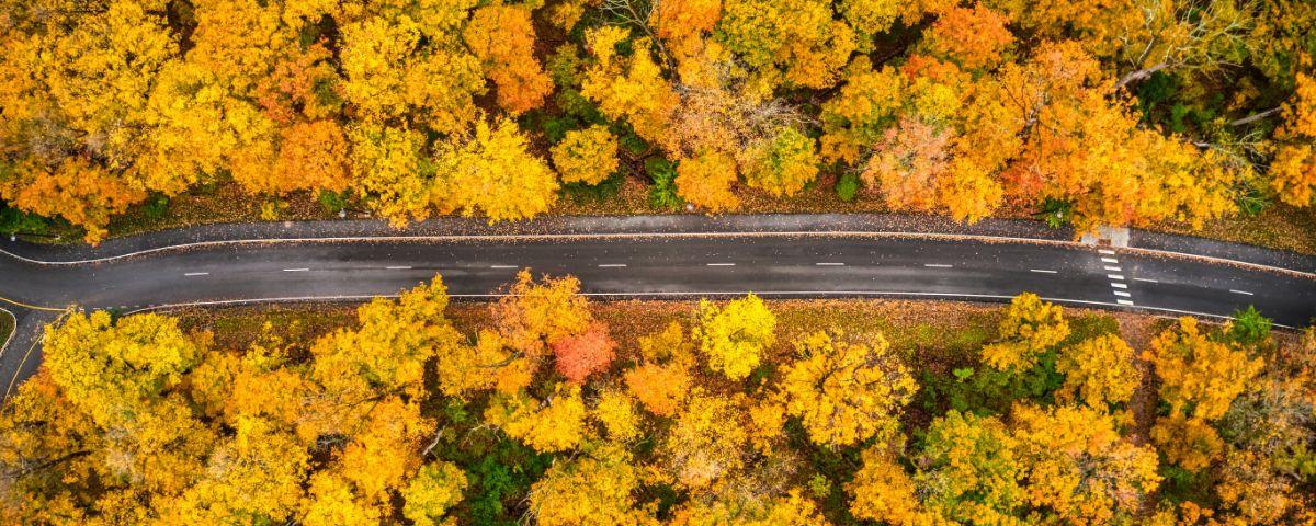 Scenic Tree Lined Country Road In The Catskill Mountains Of